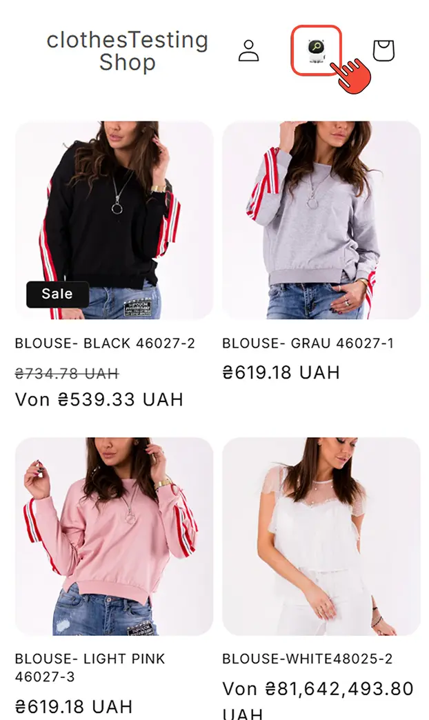 Open website and try search query